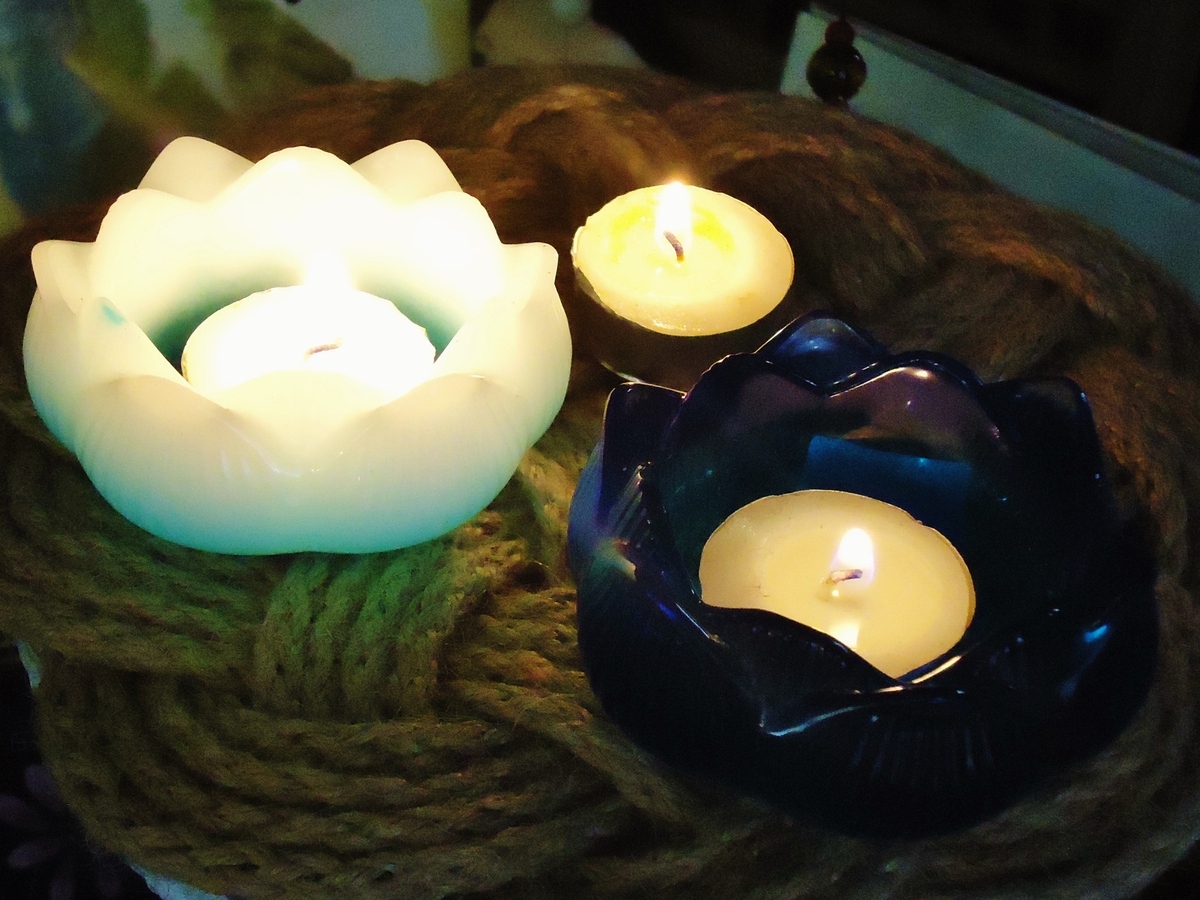 <p>Lotus Candle Holders by Eugene Yu&nbsp;</p>