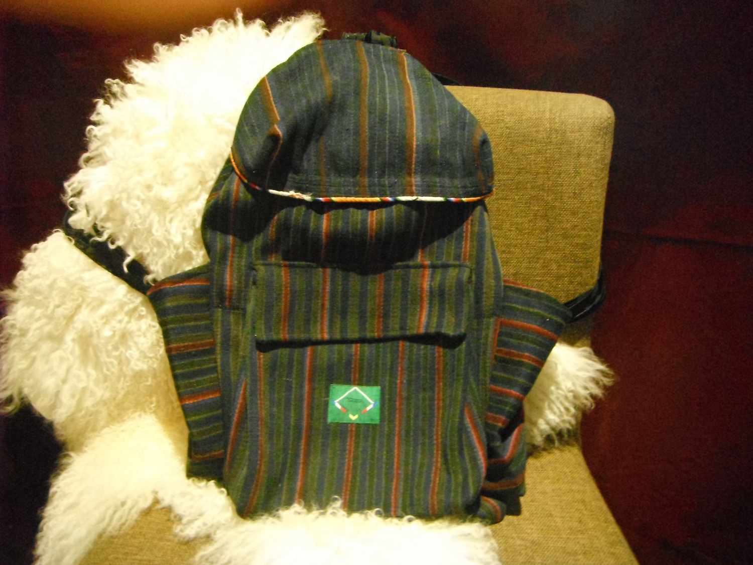 <p>Large Backpack&nbsp;</p>